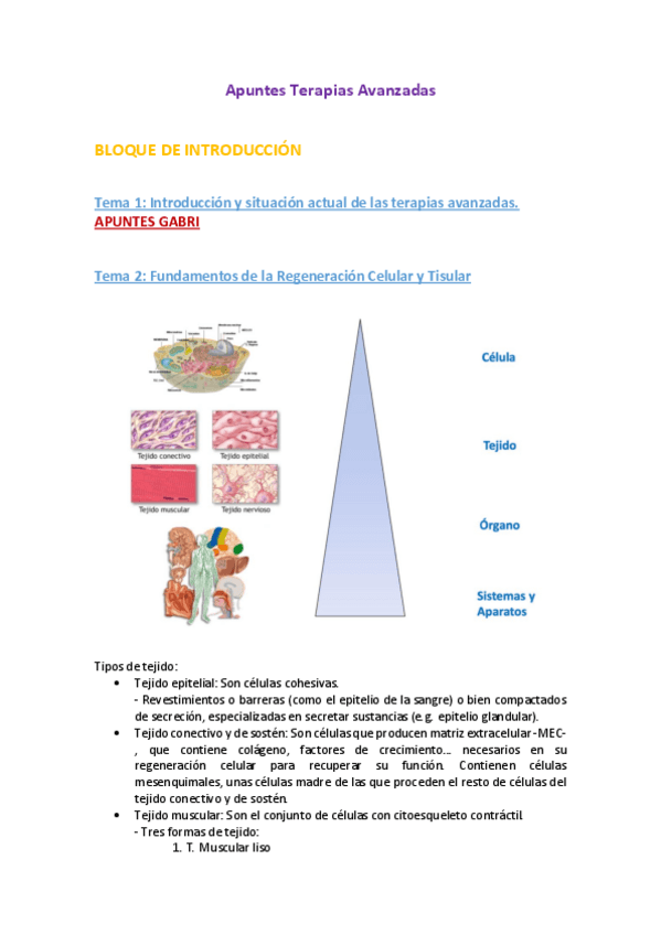Miniatura del documento Apuntes-Terapias-Avanzadas-INCOMPLETOS.pdf