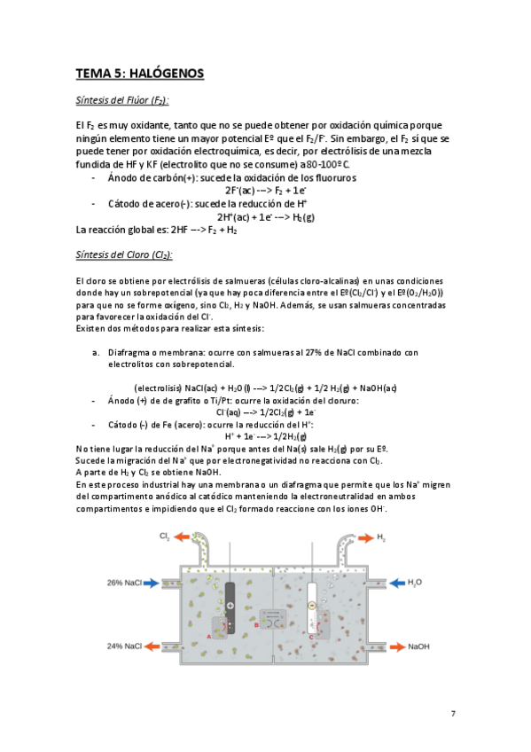 Miniatura del documento TEMA-5-HALOGENOS.pdf