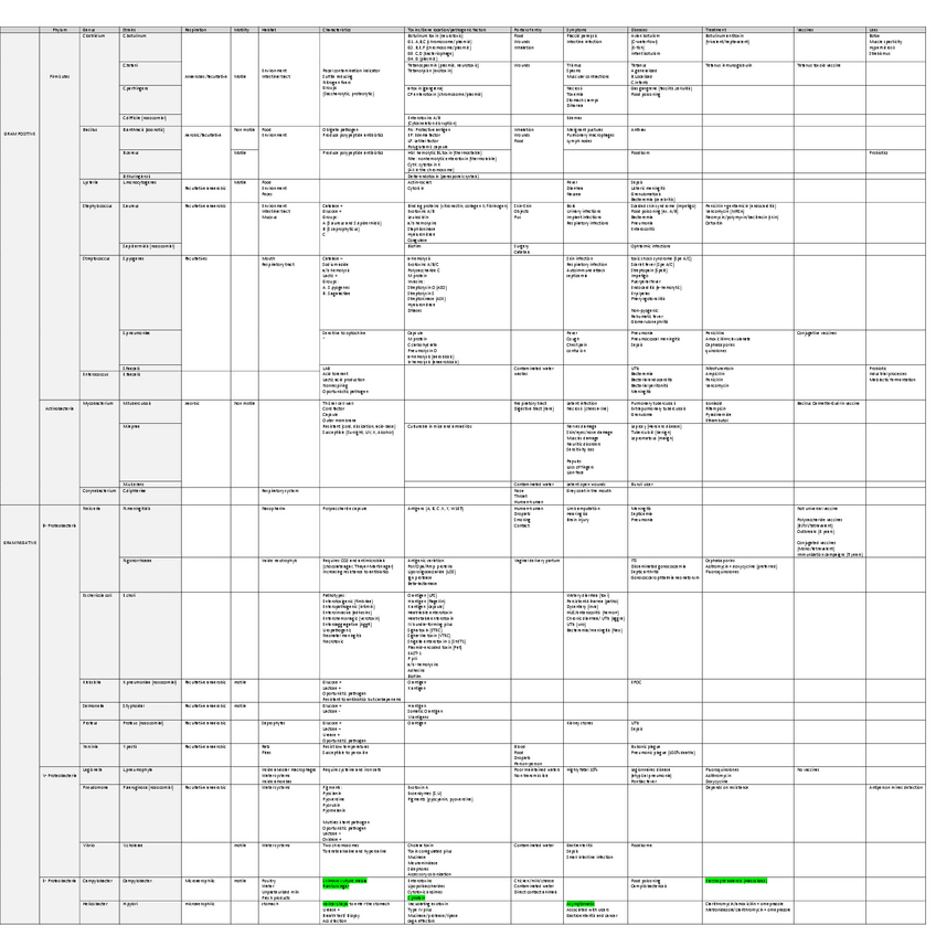 Miniatura del documento Cuadroresumen-bacterias-ingles.pdf