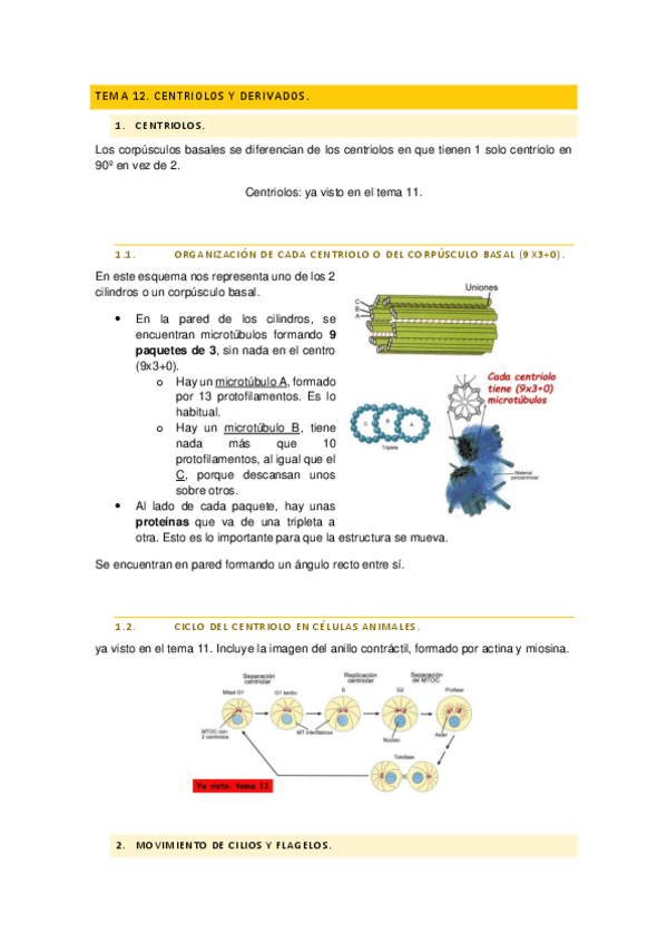 Miniatura del documento Biologia-celular-tema-12-centriolos-y-der.pdf