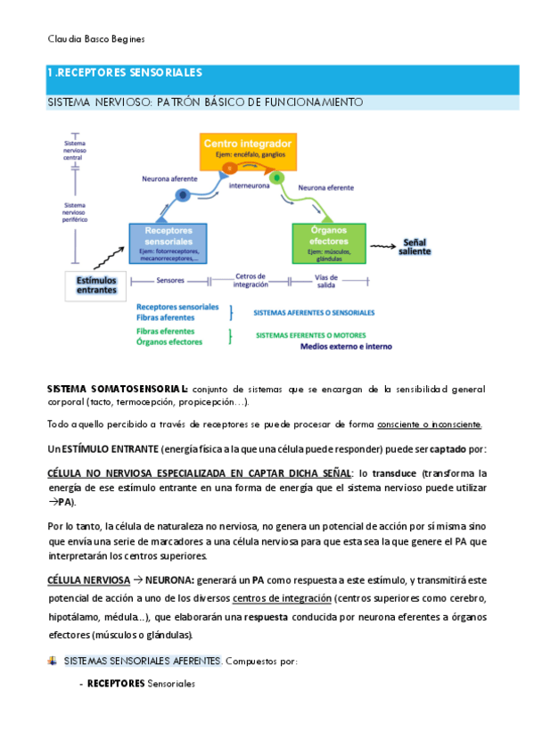Miniatura del documento APUNTES-FISIOLOGIA-M5.pdf