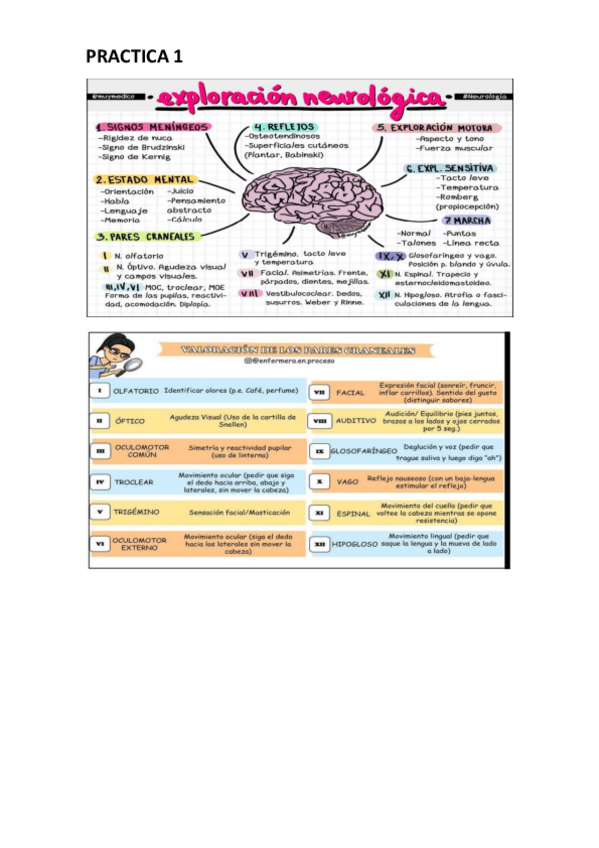 Miniatura del documento preguntas-practico-neuro.pdf
