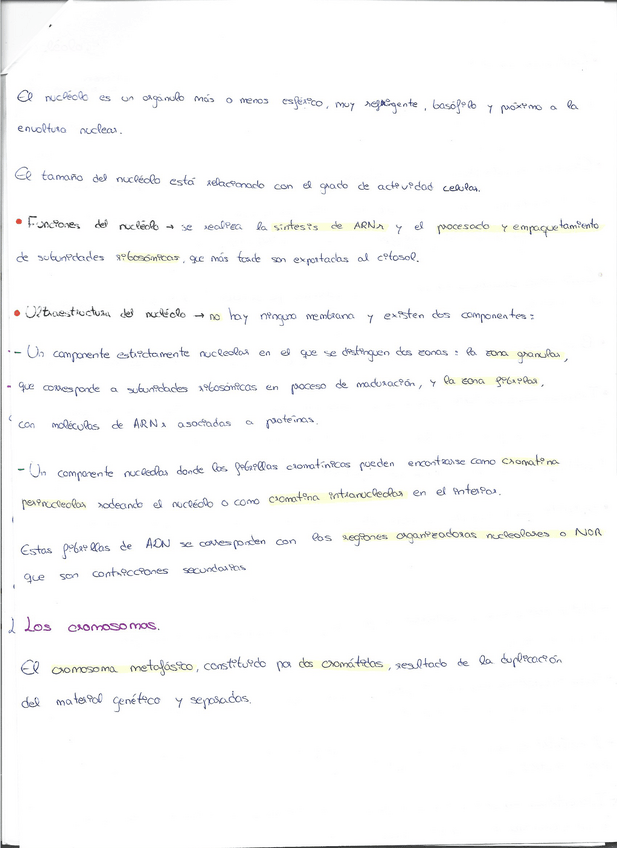 Miniatura del documento Escaner20221221-7.pdf