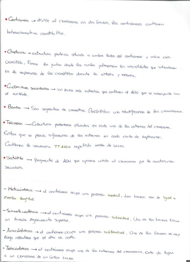 Miniatura del documento Escaner20221221-8.pdf
