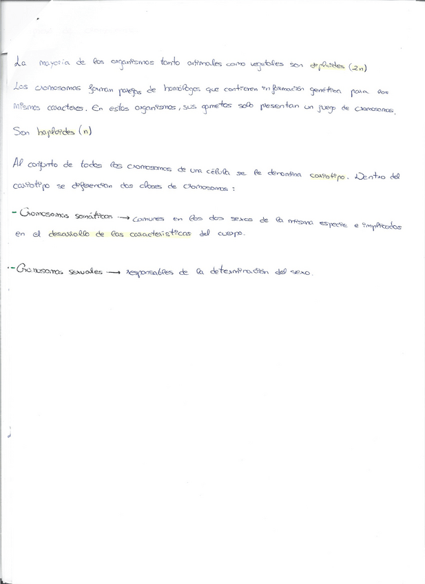 Miniatura del documento Escaner20221221-9.pdf