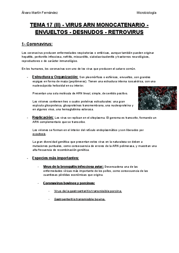 Miniatura del documento TEMA-17-II-VIRUS-ARN-MONOCATENARIO-ENVUELTOS-DESNUDOS-RETROVIRUS.pdf