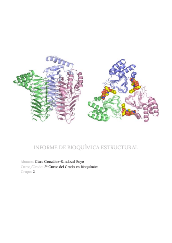 Miniatura del documento Informe-Bioquimica-Estructural.pdf
