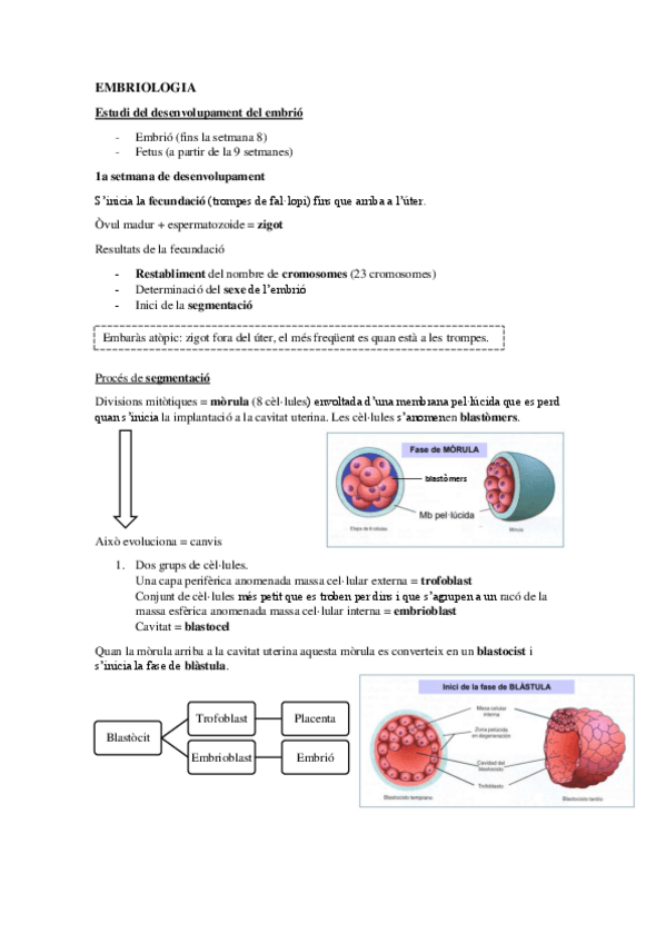 Miniatura del documento EMBRIOLOGIA.pdf