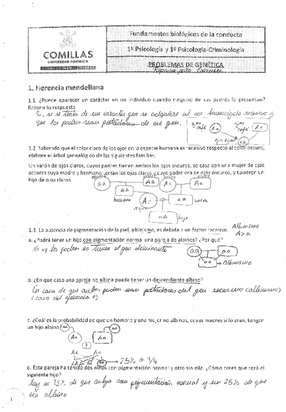 Miniatura del documento Ejercicios-herencia-mendelianaherencia-ligada-al-sexoherencia-influida-por-el-sexo-y-herencia-polialelica-resueltos.pdf