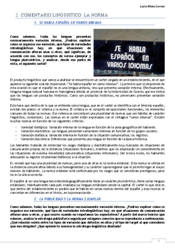 Miniatura del documento COMENTARIOS NORMA LINGÜÍSTICA.pdf
