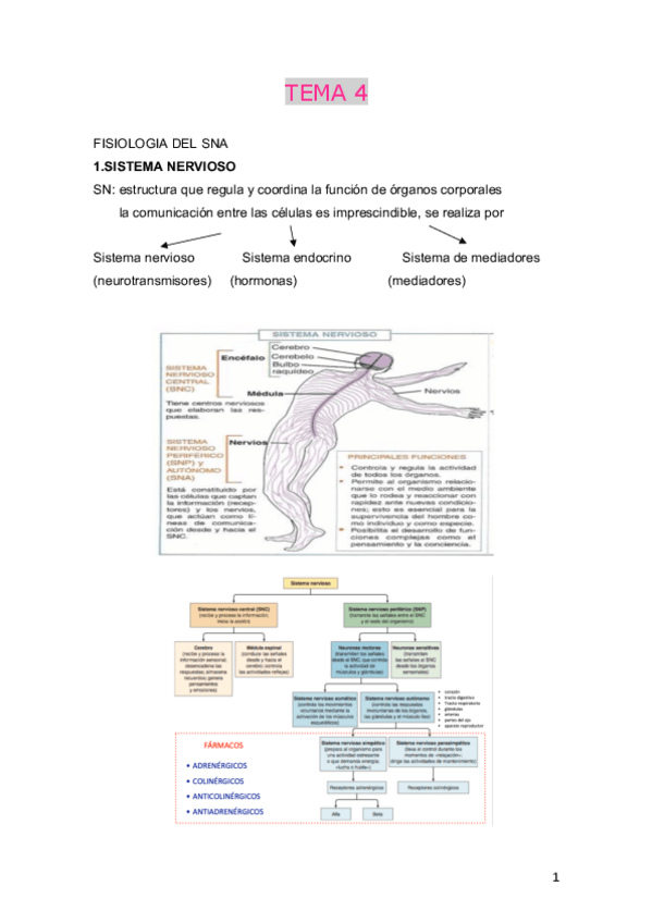 Miniatura del documento TEMA-4.pdf