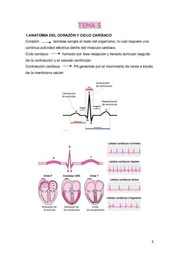 Miniatura del documento TEMA-5.pdf