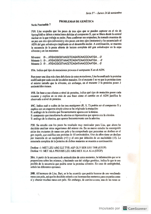 Miniatura del documento Serie-7-2022 Corregido.pdf