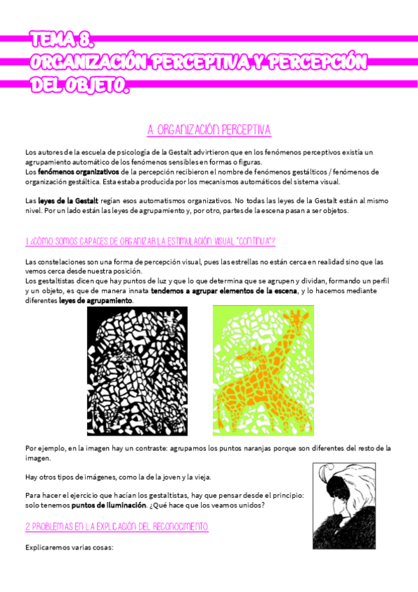 Miniatura del documento TEMA-8-PERC-Y-AT.pdf