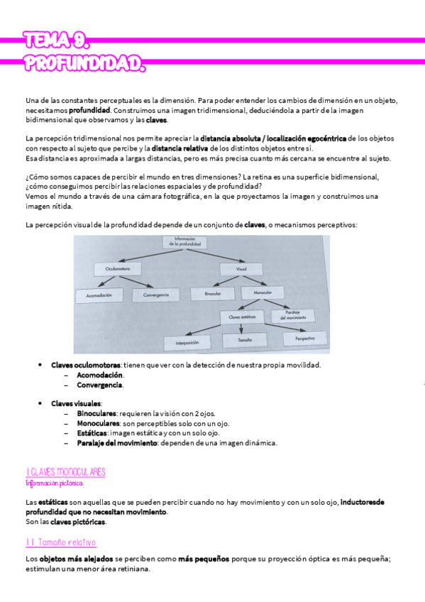 Miniatura del documento TEMA-9-PERC-Y-AT.pdf