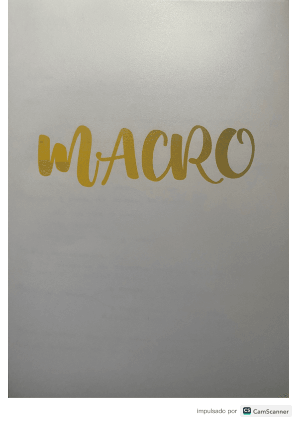 Miniatura del documento INTRODUCCION A LA MACRO.pdf