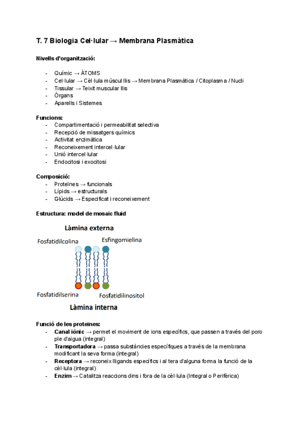 Miniatura del documento TEMA-7-La-Cellula.pdf