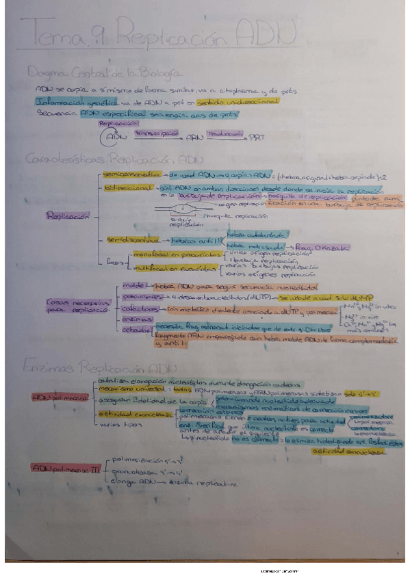 Miniatura del documento Tema 9 BQ.pdf
