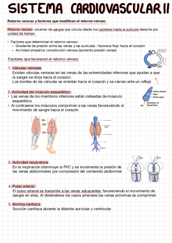 Miniatura del documento Cardiovascular-II.pdf