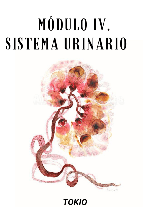 Miniatura del documento modulo-4-clinica-ii.pdf