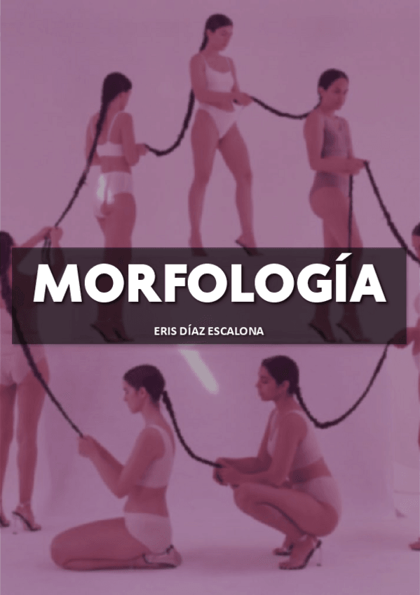 Miniatura del documento Morfologia.pdf