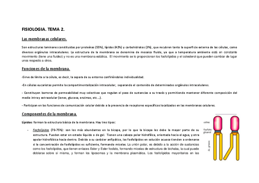 Miniatura del documento FISIOLOGÍA. TEMA 2..pdf