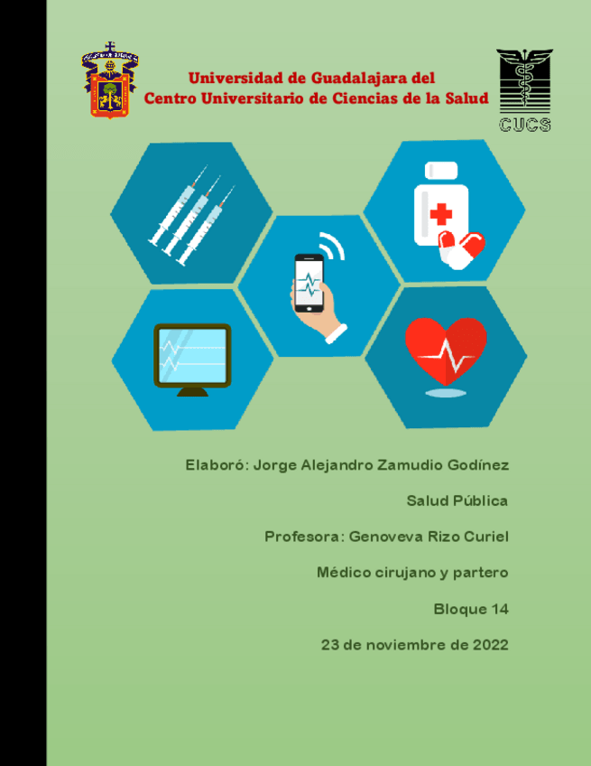 Miniatura del documento Origen-y-conceptos-en-la-salud-publica.pdf