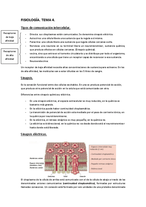 Miniatura del documento FISIOLOGÍA. TEMA 4..pdf