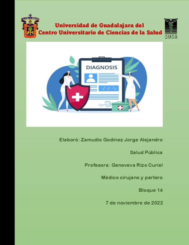 Miniatura del documento Tipos-de-diagnostico-situacional-de-salud.pdf