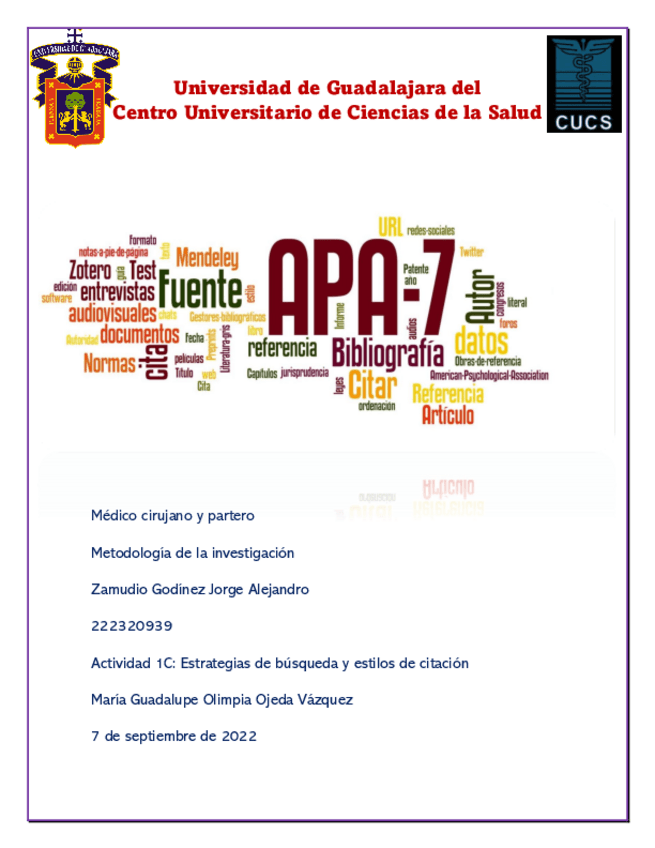 Miniatura del documento Estrategias-de-busqueda-y-estilos-de-citacion.pdf