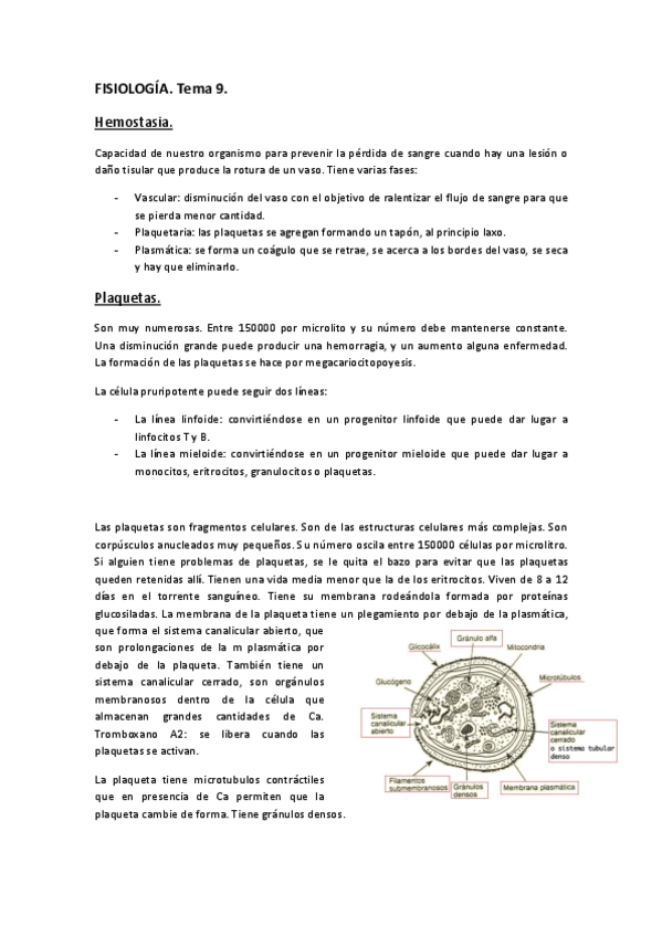 Miniatura del documento FISIOLOGÍA. TEMA 9..pdf