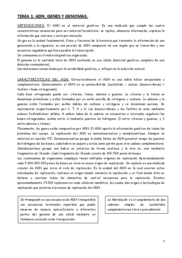 Miniatura del documento Genetica-2o-Cuatrimestre-1o-Biotecnologia-Unizar.pdf