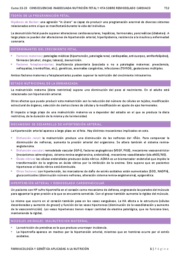 Miniatura del documento T12.pdf