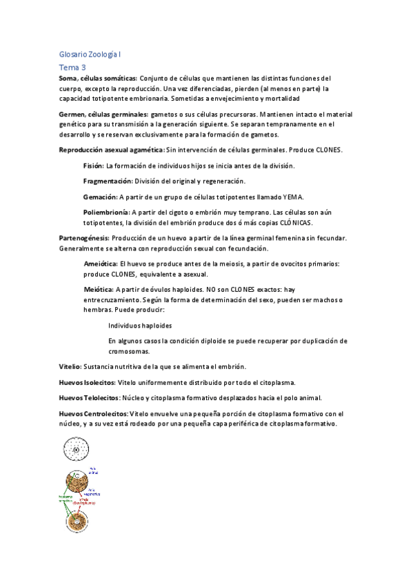 Miniatura del documento GLOSARIO-TEMA-3.pdf