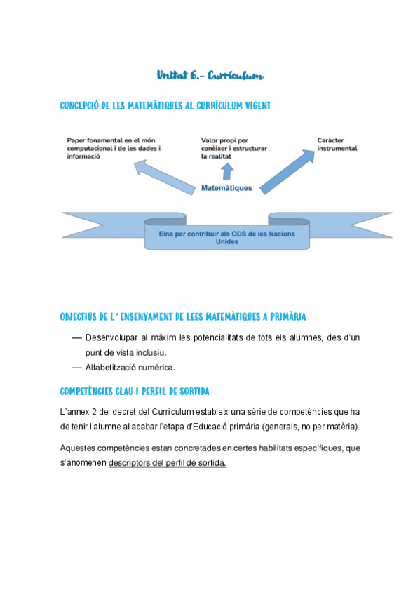 Miniatura del documento 6-CURRICULUM.pdf