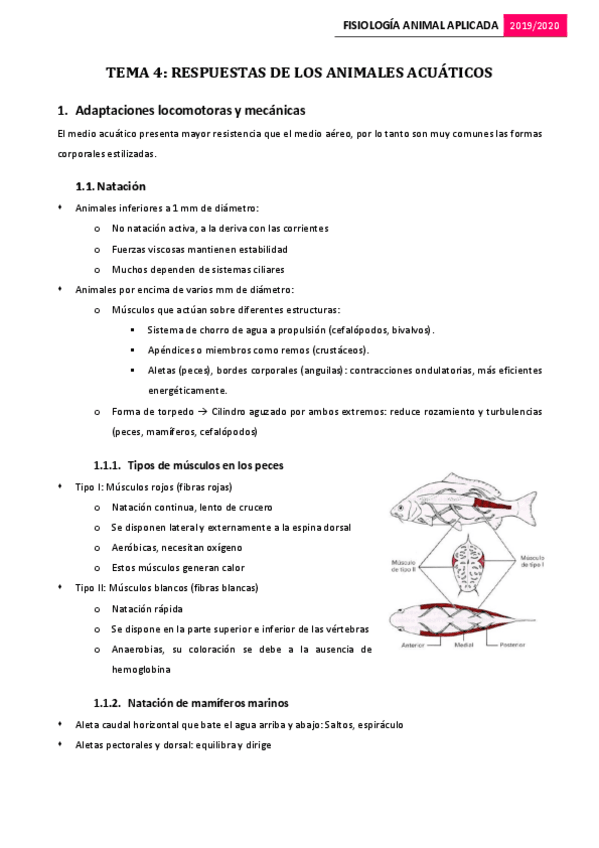 Miniatura del documento Tema-4.-Respuestas-de-los-animales-acuaticos.pdf