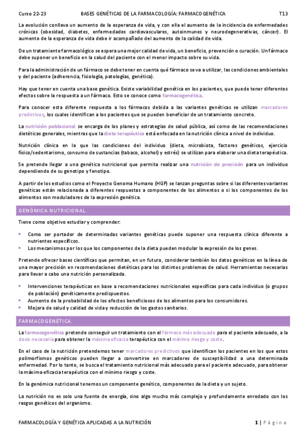 Miniatura del documento T13.pdf