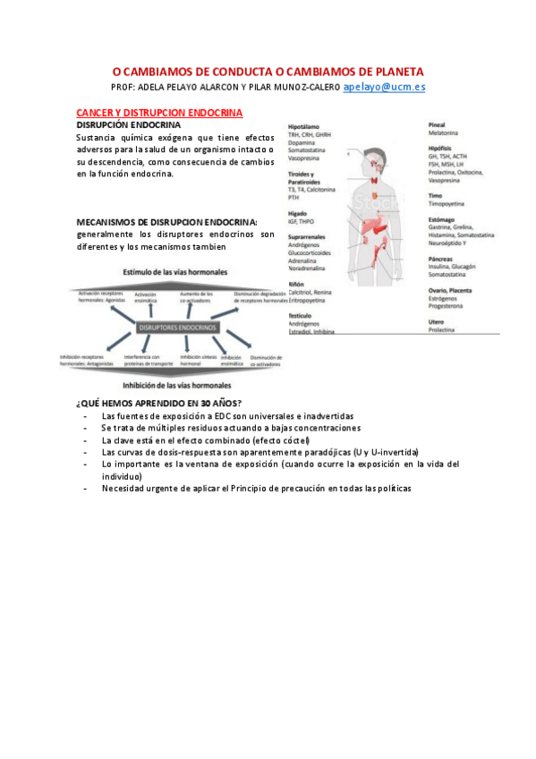 Miniatura del documento O-CAMBIAMOS-DE-CONDUCTA-O-CAMBIAMOS-DE-PLANETA.pdf
