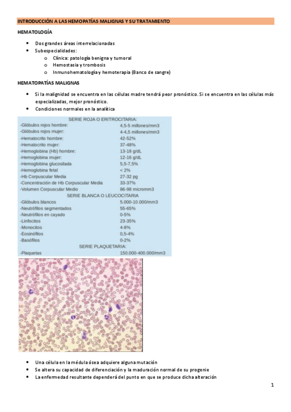 Miniatura del documento Hematologia.pdf