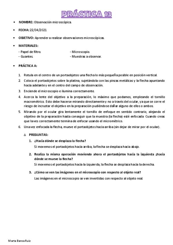 Miniatura del documento PRACTICA-13-de-TGL-Marta-Barea-Ruiz.pdf