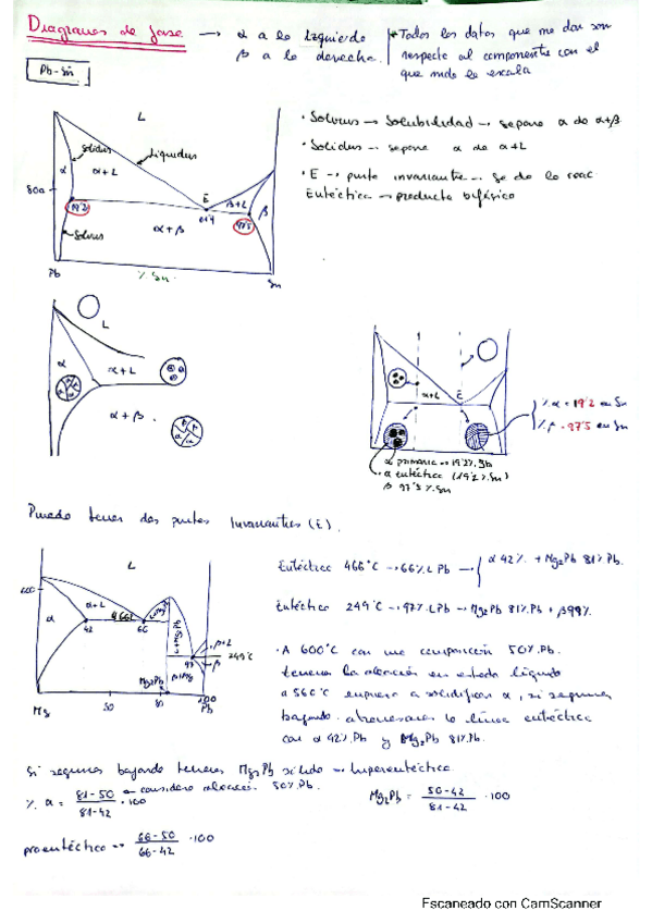 Miniatura del documento diagrama-de-fases-explicacion.pdf