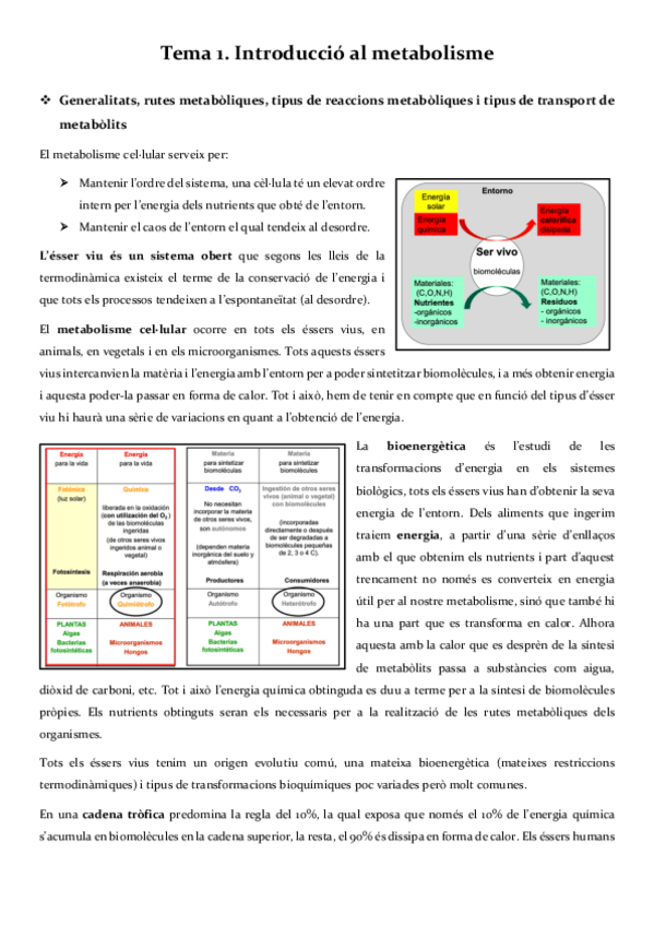 Miniatura del documento primer-parcial-metabolisme.pdf