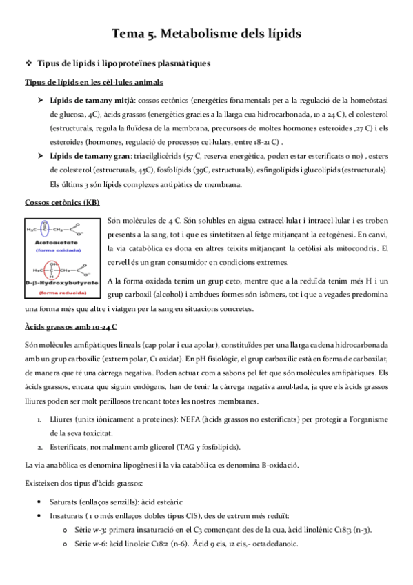 Miniatura del documento segon-parcial-metabolisme.pdf