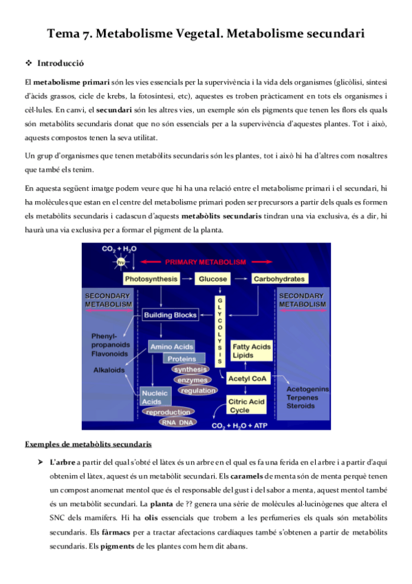 Miniatura del documento Tercer-parcial-metabolisme.pdf