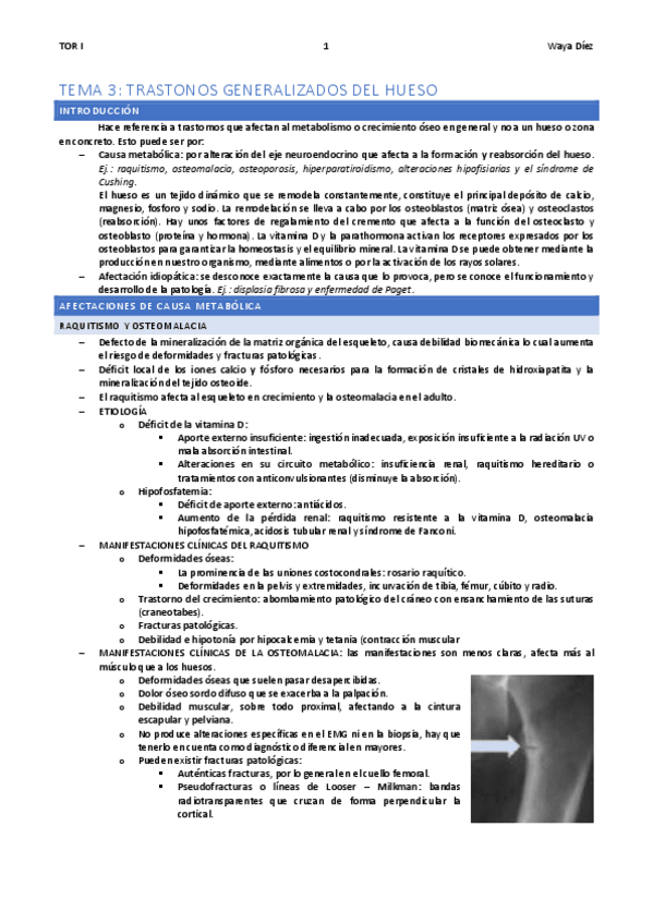 Miniatura del documento TEMA-3-WAYA.pdf
