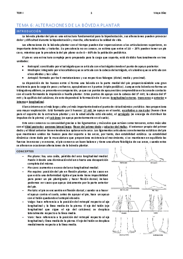 Miniatura del documento TEMA-6-WAYA.pdf