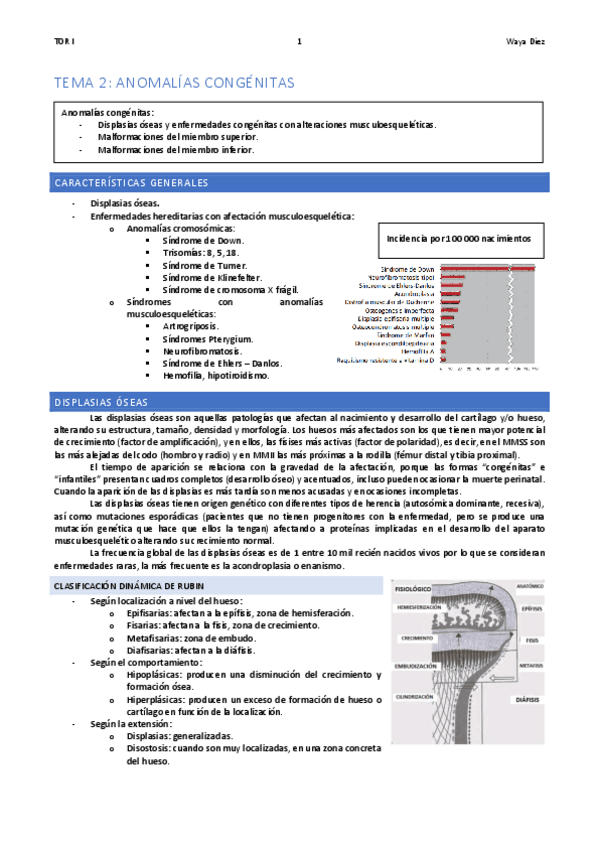 Miniatura del documento TEMA-2-WAYA.pdf