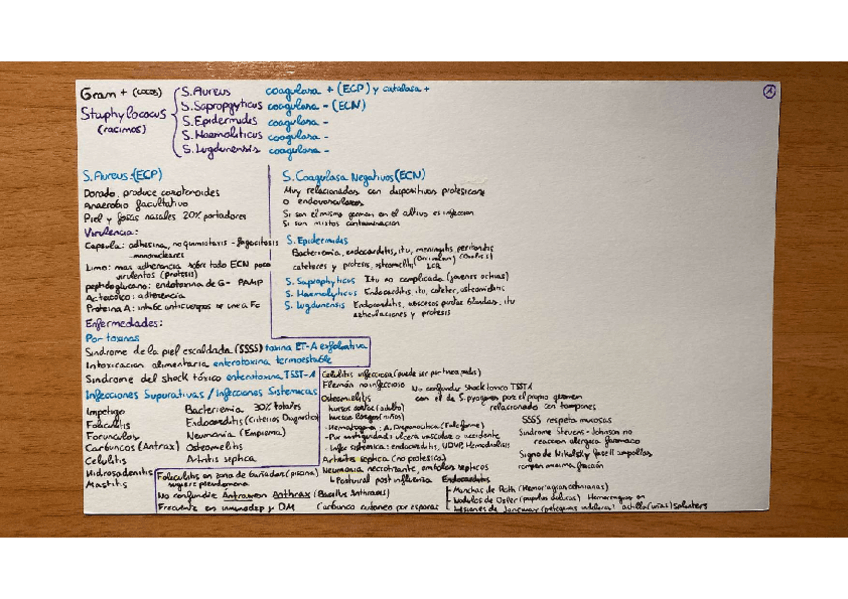 Miniatura del documento Resumenes-Microorganismos.pdf