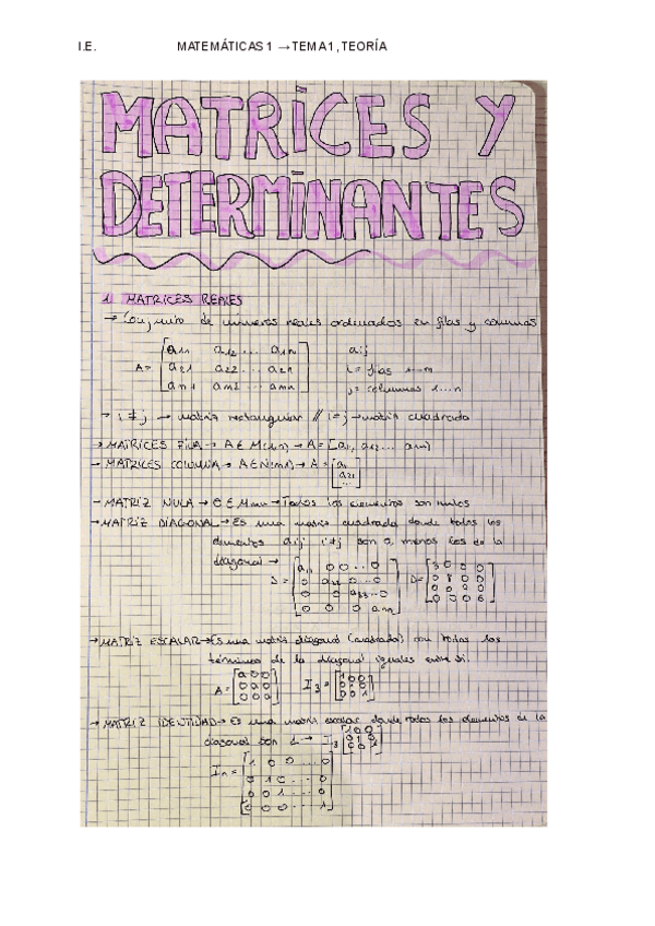 Miniatura del documento TEORIA-TEMA-1-MATRICES-Y-DETERIMINANTES.pdf
