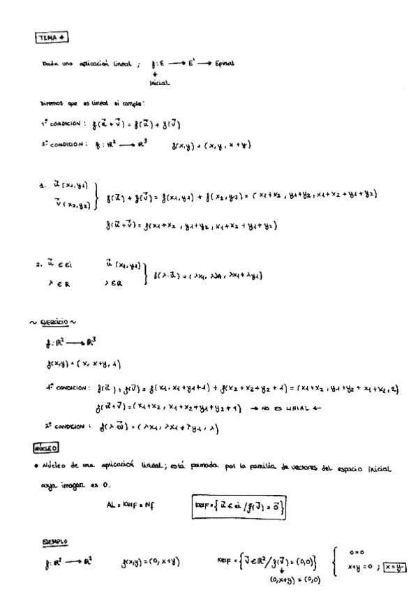 Miniatura del documento TEMA4-APLICACIONESLINEALES.pdf